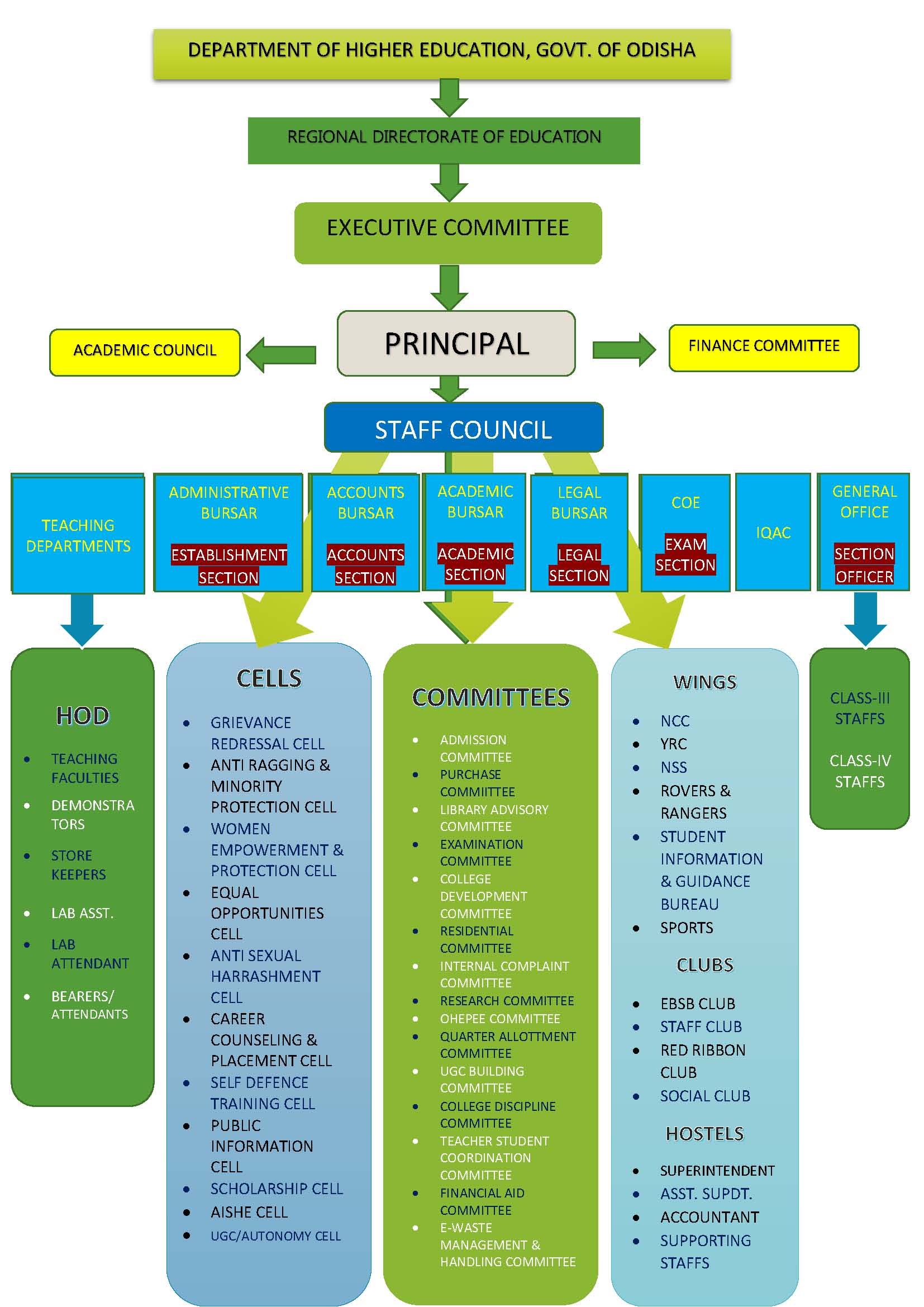 Organogram